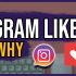 Never Buy Instagram Likes - Here’s Why